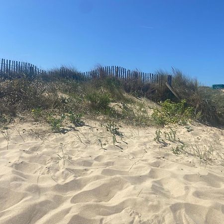 Vue Sur Dunes ! Sangatte Ngoại thất bức ảnh