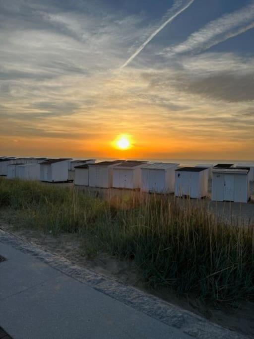 Vue Sur Dunes ! Sangatte Ngoại thất bức ảnh