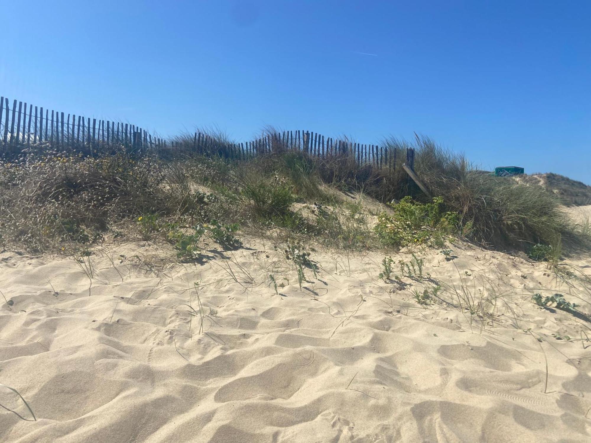 Vue Sur Dunes ! Sangatte Ngoại thất bức ảnh
